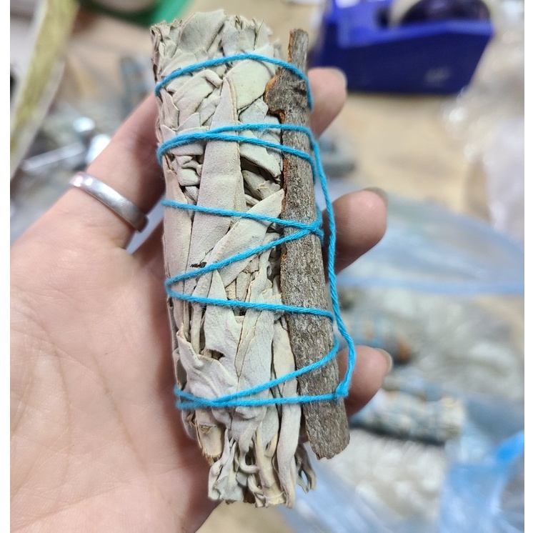 Xô thơm trắng mix quế rừng 10cm