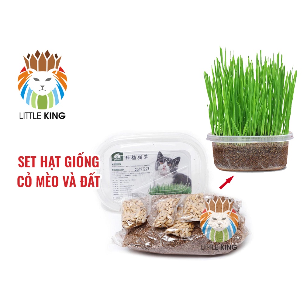 Set hộp hạt giống cỏ mèo và đất trồng giúp bổ xung chất xơ, tiêu búi lông cho mèo Little King pet shop