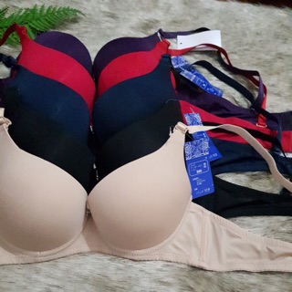 Combo áo lót thuy