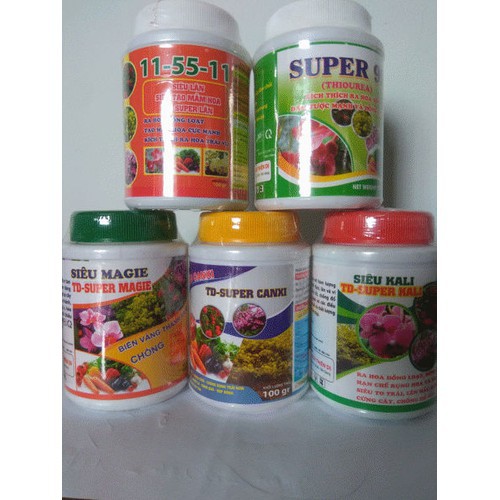 Bộ sản phẩm dưỡng cây, kích hoa  TD - 100g