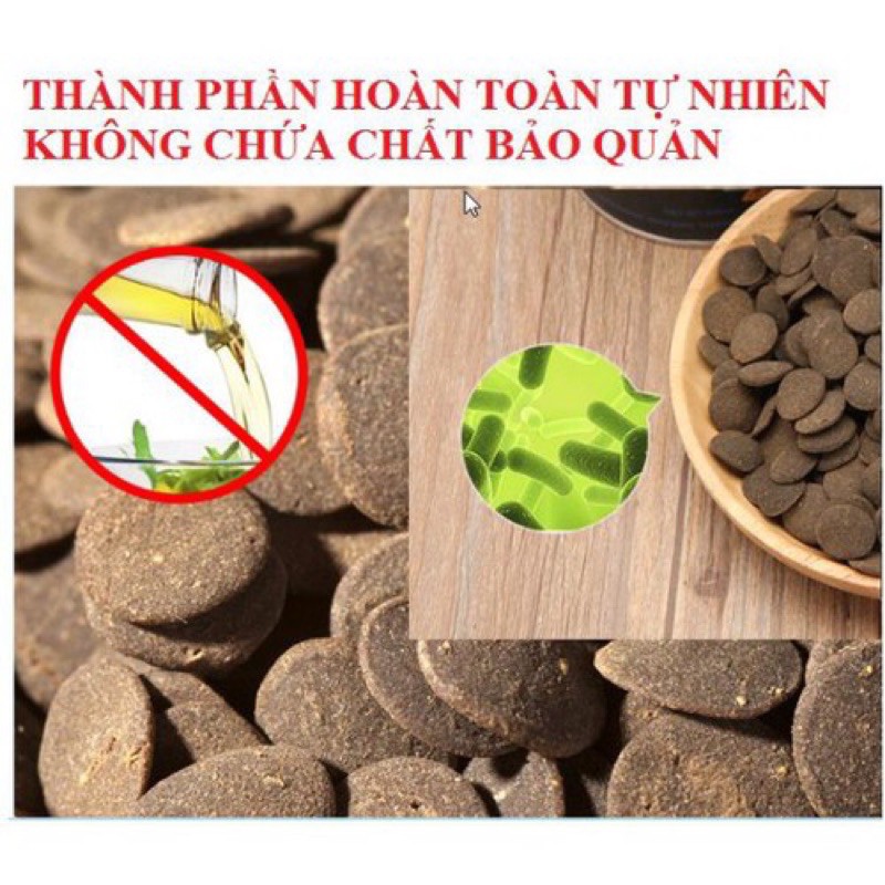 Thức Ăn Cho Cá Chuột, Pleco Tầng Đáy Chuyên Dụng - Cá Khoẻ, Háu Ăn