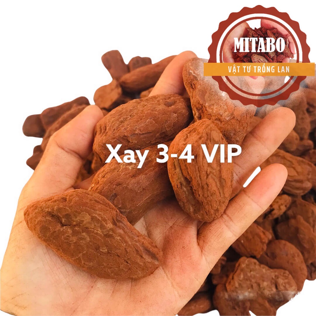 [Giảm đến 50%] Combo 5kg vỏ thông trồng lan giá thể trồng lan đã qua xử lý loại xay kích thước 3-4cm VIP vỏ thông Mitabo