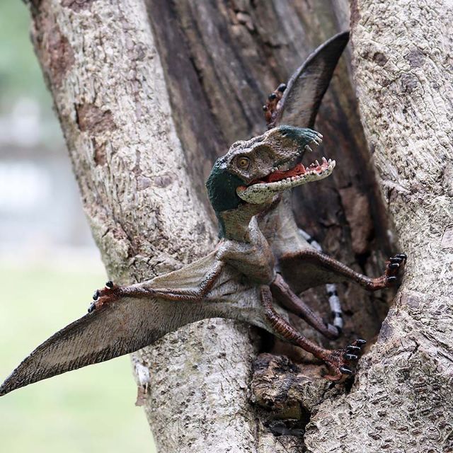 Đồ chơi Mô hình khủng long pterosaurus gập được hàm