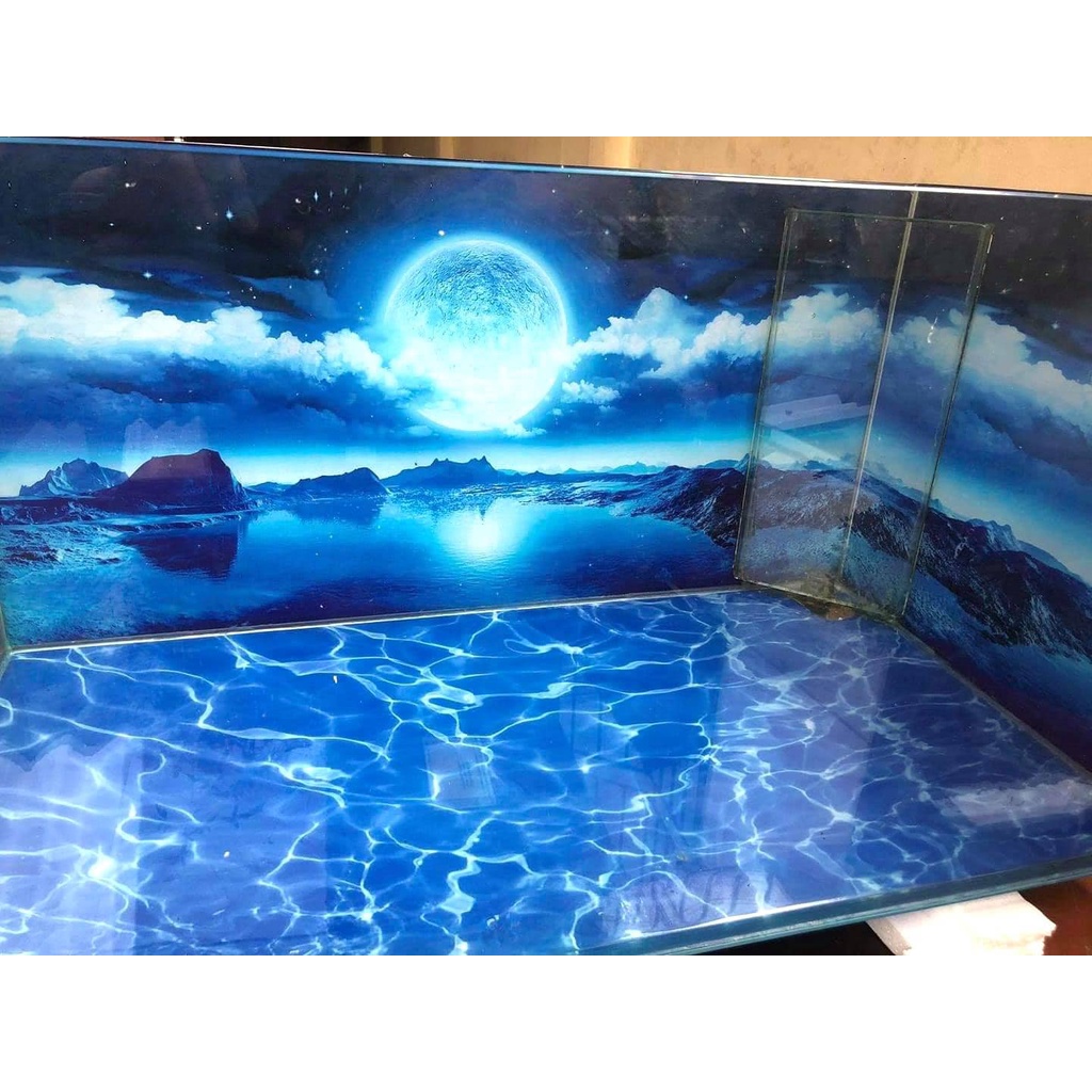 tranh 3d. tranh dán bể cá thủy sinh, bể cá rồng (tranh lưng)