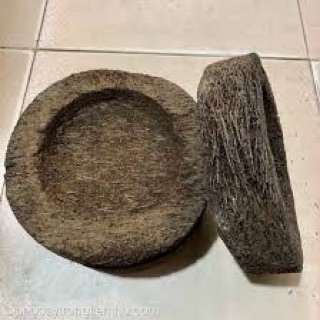 CHẬU DỚN TRỒNG LAN (DỚN ĐĨA)