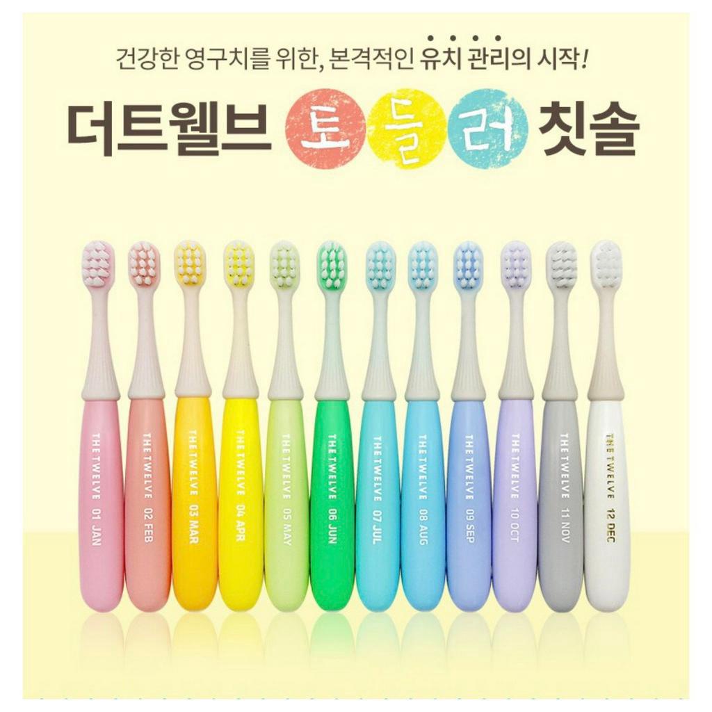 SET 12 Bàn chải đánh răng The Twelve Korea cho bé từ 12 tháng