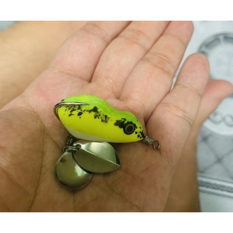 NHÁI HƠI CÂU LURE ẾCH TRÒN