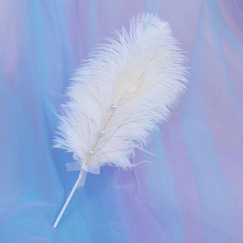 Lông vũ chụp ảnh mẫu móng , nail