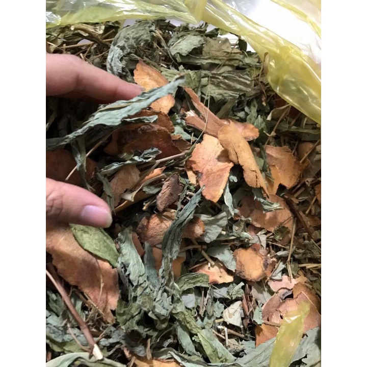 Kem dưỡng trắng da sáng hồng, chống lão hoá, làm mịn da Đông y gia truyền