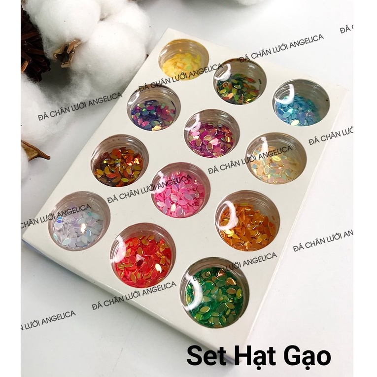 Set Nhũ Hạt Gạo Nail 12 Màu Trang Trí Móng ANGELICA SHG