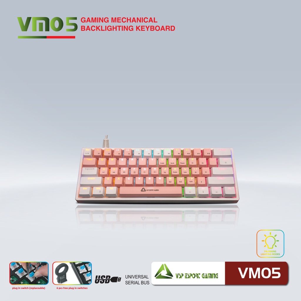 Bàn phím Cơ Gaming Mini VSP Esport VM05 - 9 chế độ Led, 61 Keys - Hãng phân phối