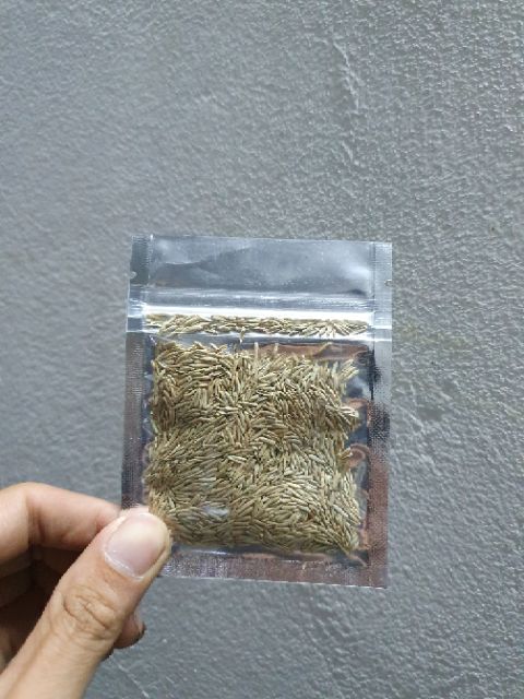 Hạt mầm thủy sinh