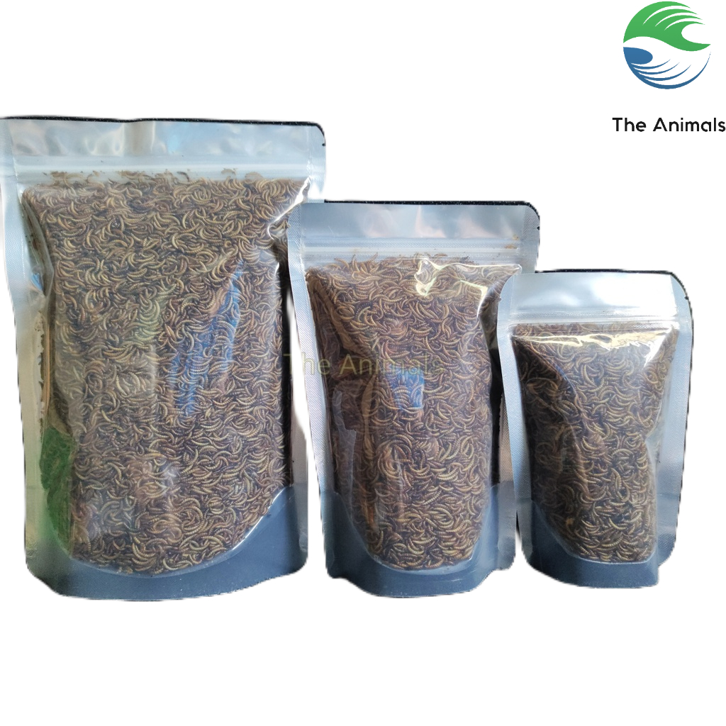 Sâu Mini Worm sấy thơm cho chim, gà, cá, hamster, sóc, nhím,... - Sâu gạo