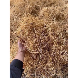 rễ cây bạch hạc