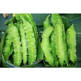 10Gram Đậu rồng  Siêu Quả Giòn Ngon