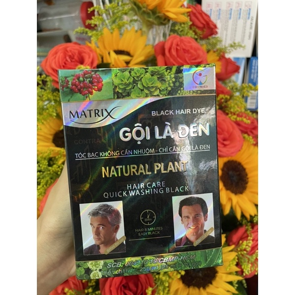 NHUỘM TÓC THẢO DƯỢC HỘP 10 GÓI [CÓ TẶNG KÈM GĂNG TAY TRONG MỖI BỊCH]