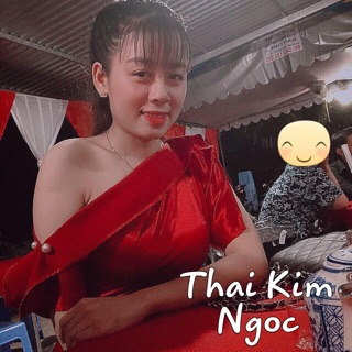 Đầm dự tiệc lệch vai phi bèo cài châm