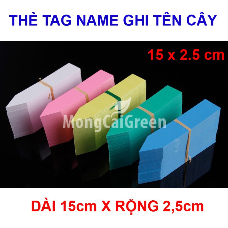 Bó 100 chiếc Thẻ ghi tên cây cỡ 15 x 2,5 cm, Tag name ghi tên cây trồng chất liệu nhựa PVC, dạng cắm chậu