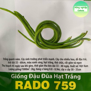 Hạt Giống Đậu Đũa Đài Loan Hạt Trắng (NEW RADO759) 20gr