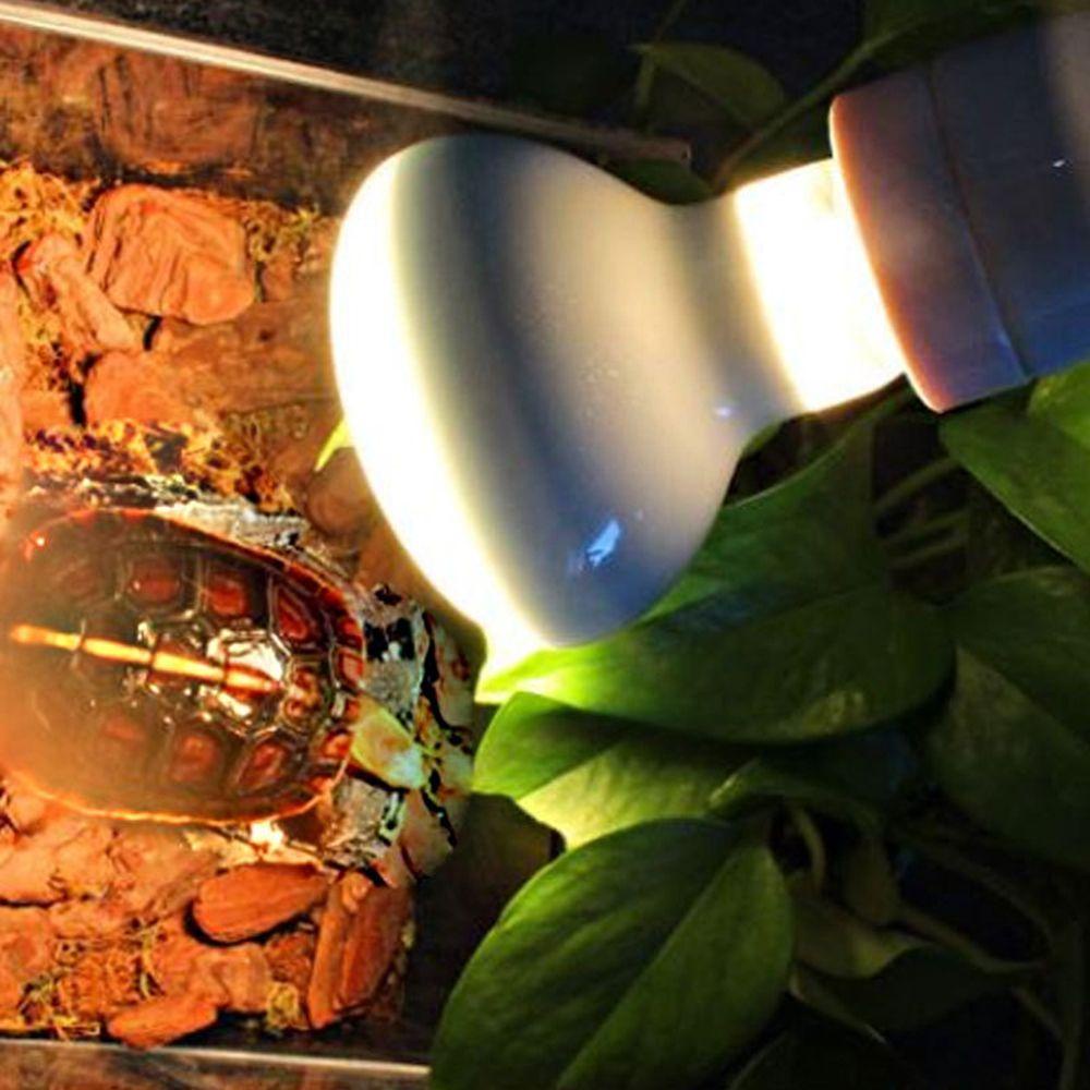 Epoch Bóng Đèn Halogen Điều Khiển Nhiệt Độ Sưởi Ấm Rùa