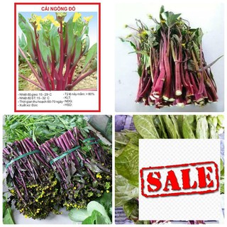 Gói 10 gr giống cải ngồng đỏ sale