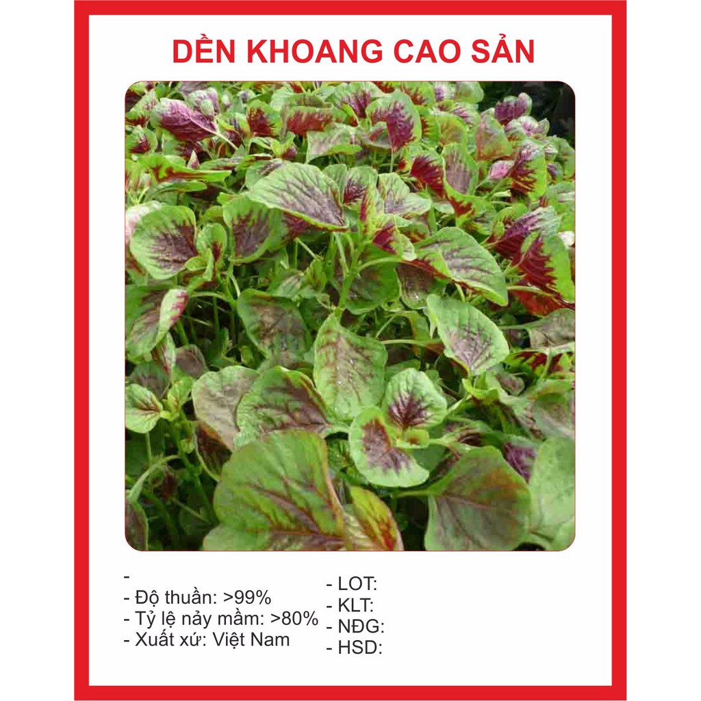 hạt giống cây rau dền khoang 20gram