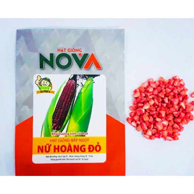 Hạt Giống Bắp Nữ Hoàng Đỏ Nova (Thái Lan)