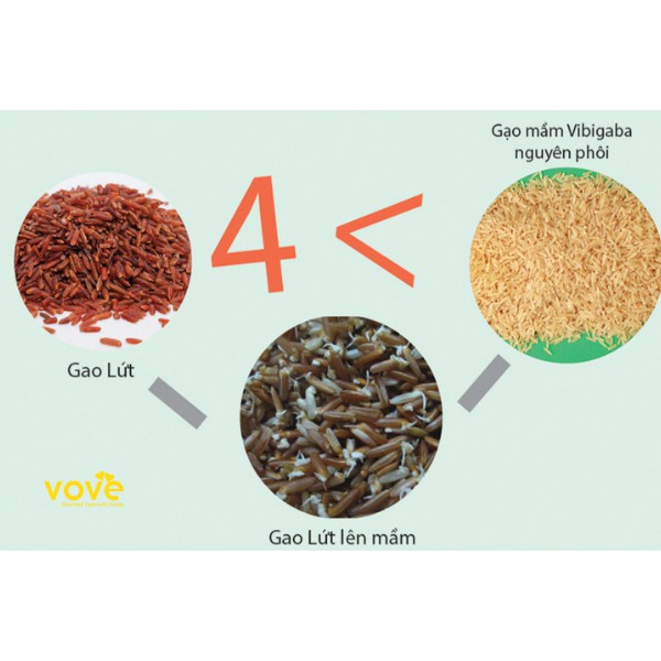 Gạo mầm Vibigaba hộp 1kg
