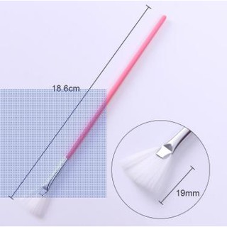10 Cọ quạt phủi nhủ,dặm; cọ xòe quạt