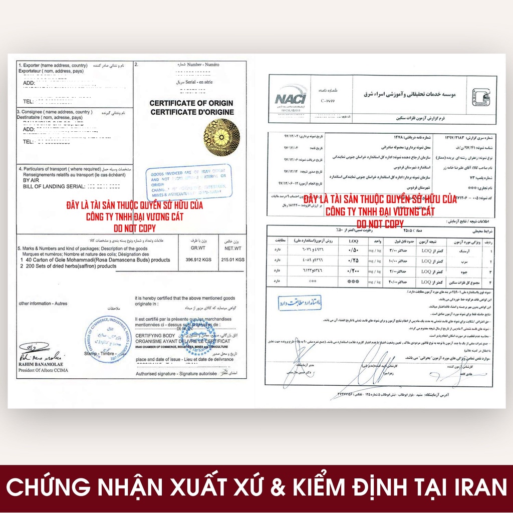 Nụ hoa hồng khô Kingdom Herb Iran chính hãng, trà hoa hồng khô hộp mẫu thử 3g