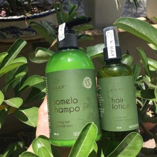 Cặp Gội -Xịt Bưởi Vijully