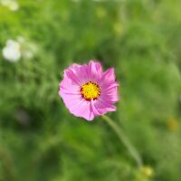 nguyenhuyen7192