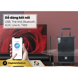 Loa kéo True Sound SN-12S