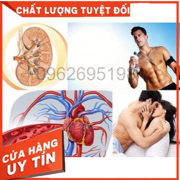 Đông trùng gỗ trắng 60 gói 2 tem