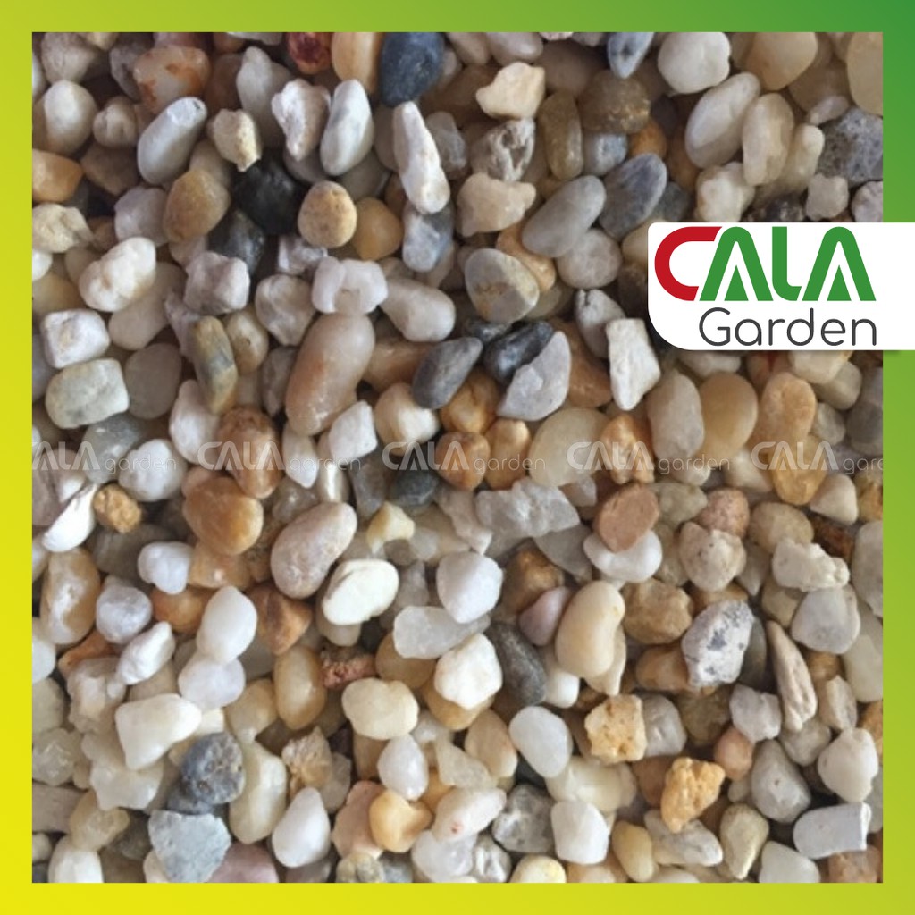 Sỏi Ba Màu CALA - Trang Trí Hồ Cá, Sen Đá, Chậu Cây Cảnh, Terrarium, Sân Vườn