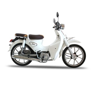 Xe máy CUB 81 TAYA PRO 2020 ( màu trắng )