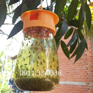 Bẫy Ruồi Vàng - Combo 5 bộ bẫy