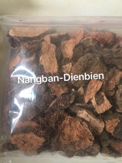 ☘️ Hà Thủ Ô - Xanh tóc - Đỏ da ☘️