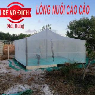 Lồng nuôi cào cào 5x4x2