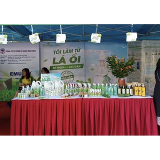 [Tôi Là Thảo Mộc] Xịt Thơm Miệng Bạc Hà