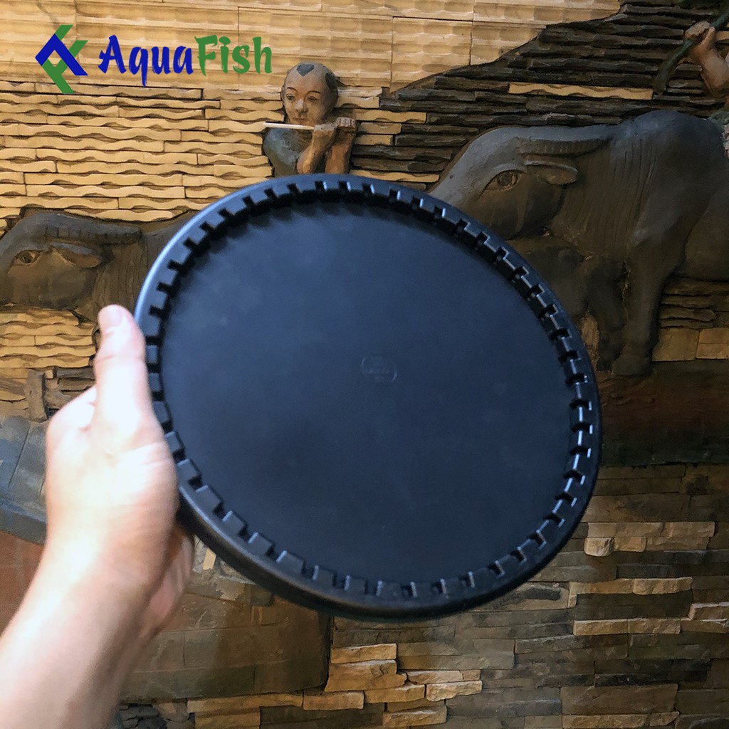 Đĩa Sủi Mỹ SSI - Đĩa Sủi Khí Oxy Cao Cấp Cho Bể Cá Cảnh, Hồ Cá Koi