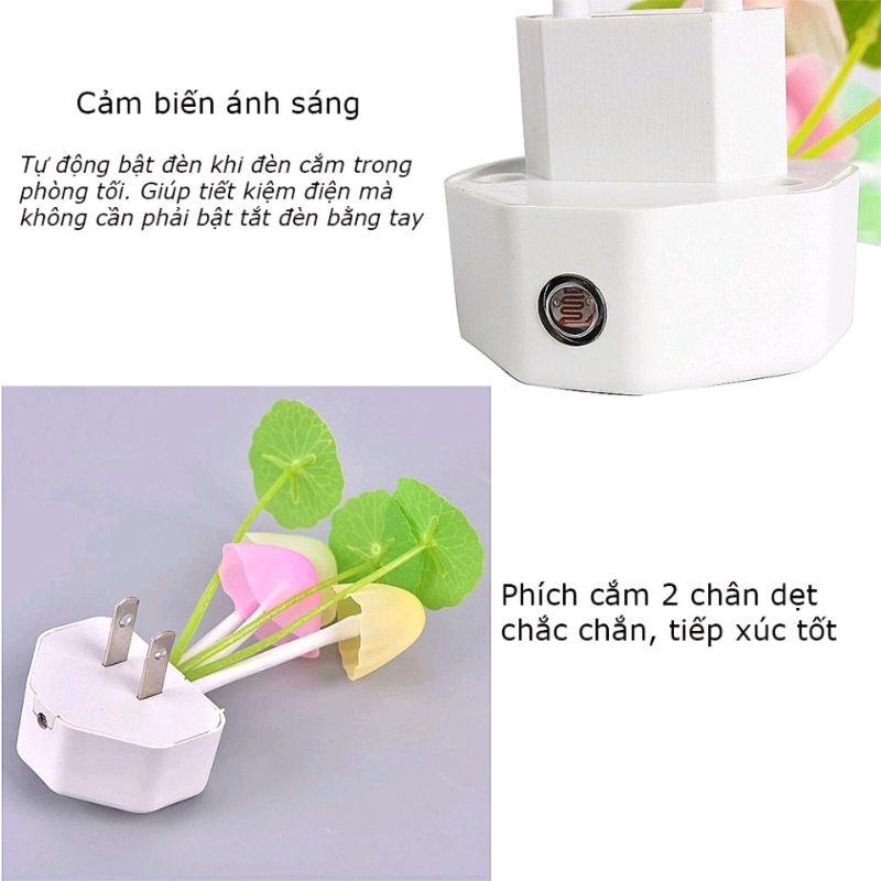Đèn Ngủ Led Hình Nấm và hình vuông Cảm Ứng Ánh Sáng