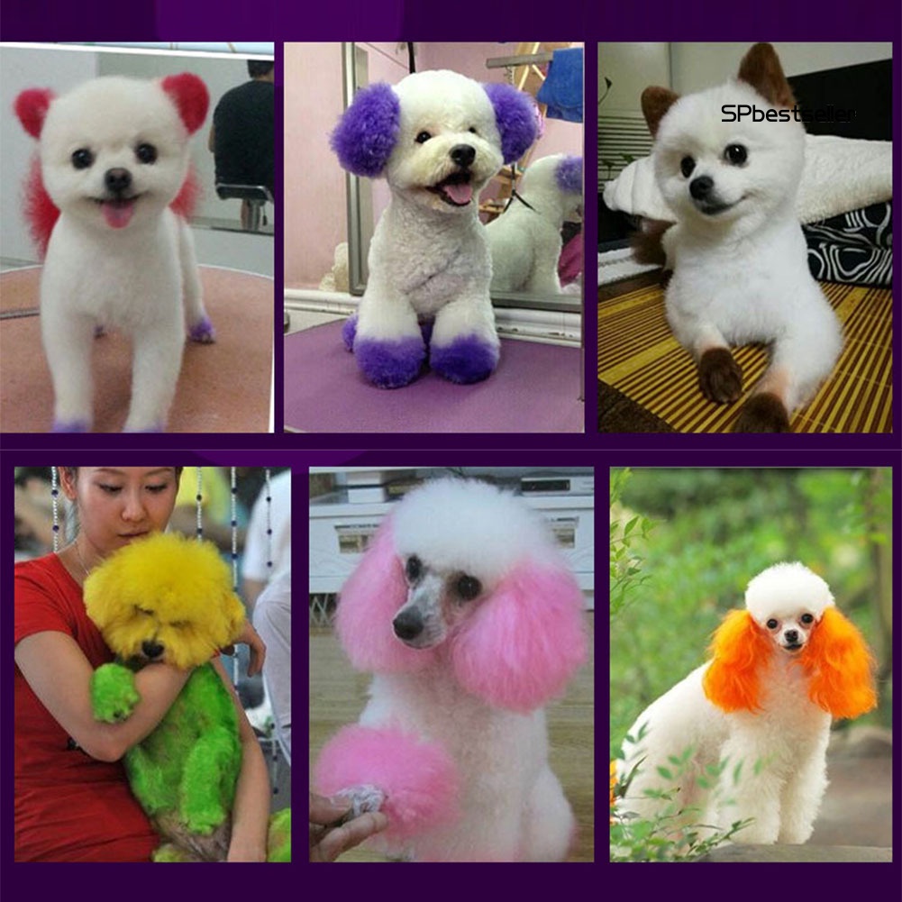 Gel nhuộm lông 100ml màu sắc dễ thương cho thú cưng