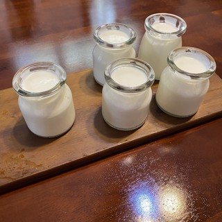 Men viili tươi làm sữa chua (Làm sữa có đường các vị)