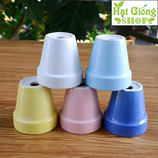 Chậu trồng cây mini gờ sứ 6x6