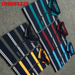 Áo thun sọc vnxk
