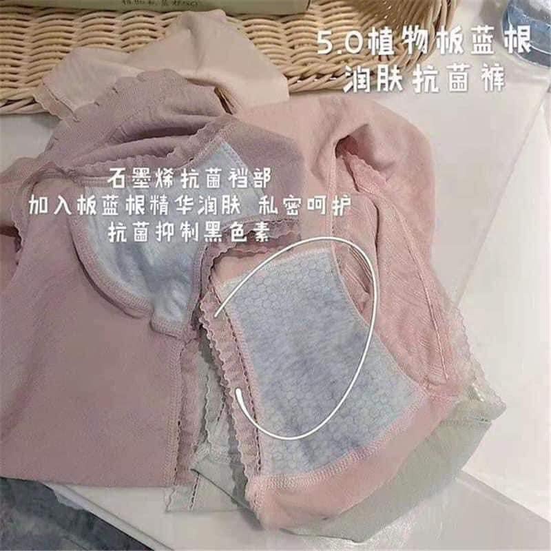 Quần lót nữ, quần chip cotton kháng khuẩn thoáng mát phối viền đính nơ xinh - mã HHH | BigBuy360 - bigbuy360.vn