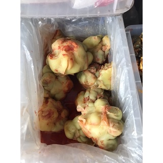 Cơ hội sở hữu Củ Cải Cay - Rau cay