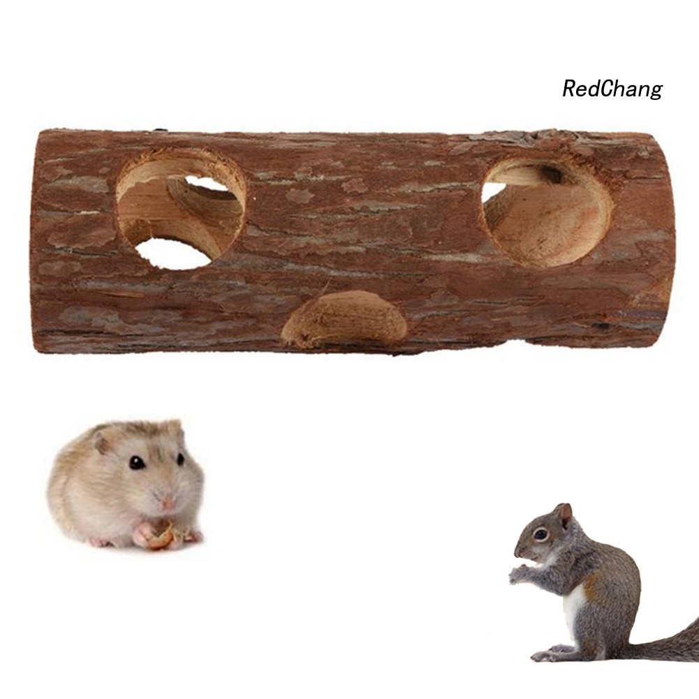 Đường hầm đồ chơi thú vị cho chuột hamster