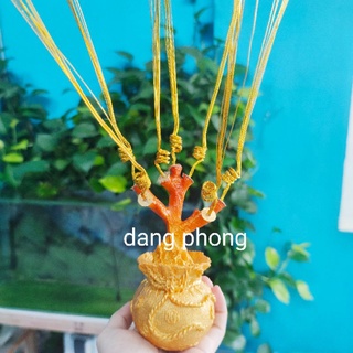 Gốc kim tiền 7 nhánh gắn kẽm sẵn và lót xu làm cây cành vàng